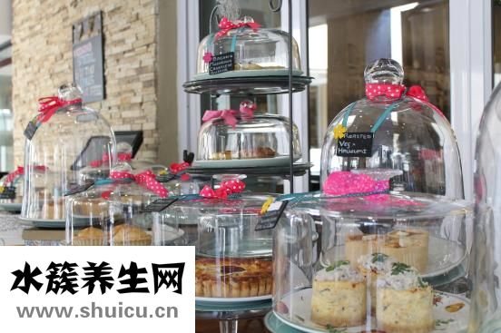 石指甲怎么養殖