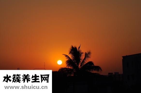 皮膚超級干怎么辦