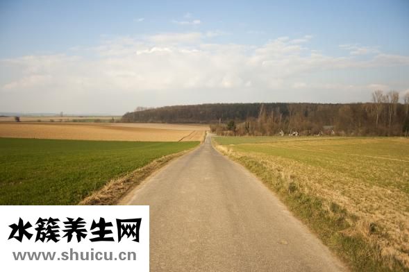 老頭魚怎么做