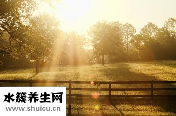 皮膚超級干怎么辦