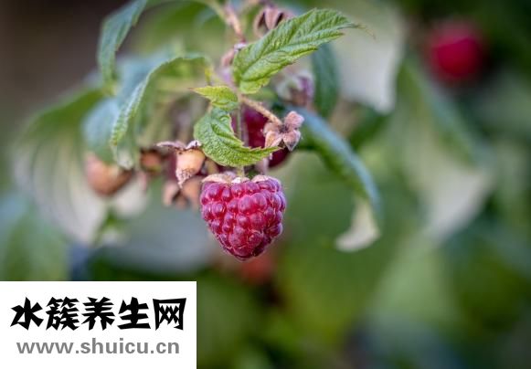 果凍精怎么辦