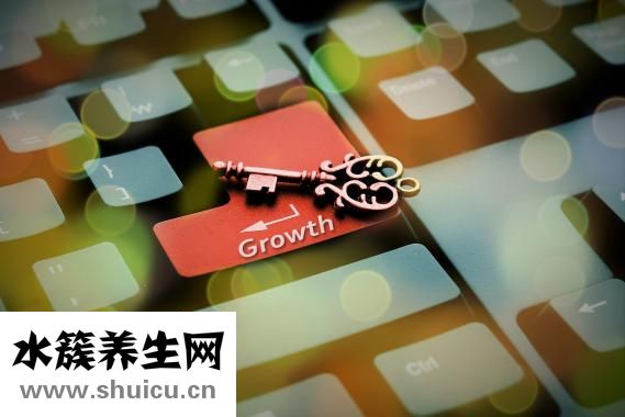 白鴿怎么殺