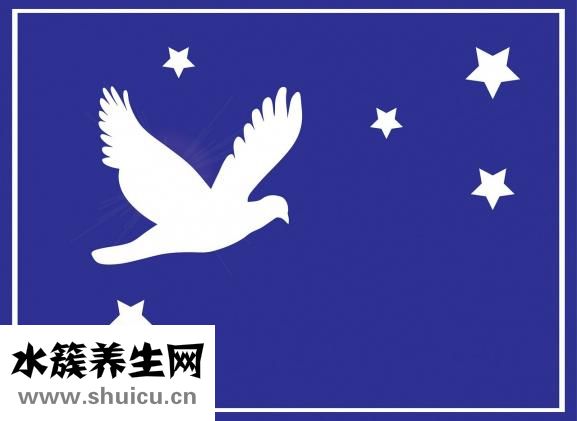 白鴿怎么殺