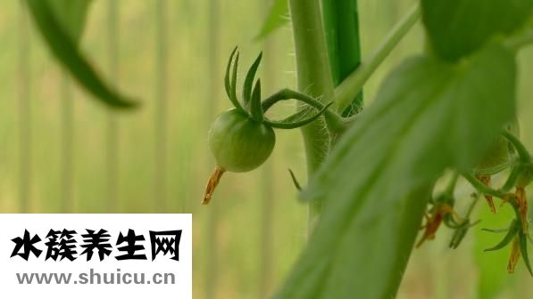 臉圓怎么了