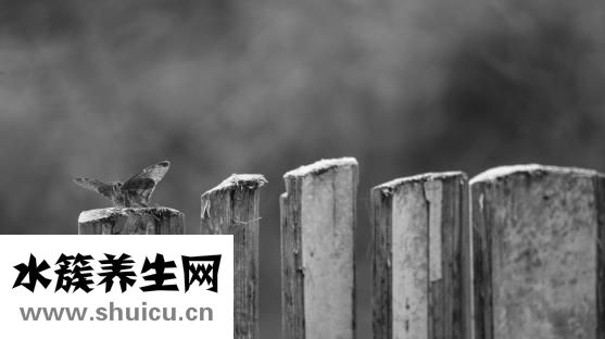 孕婦奶少是怎么回事