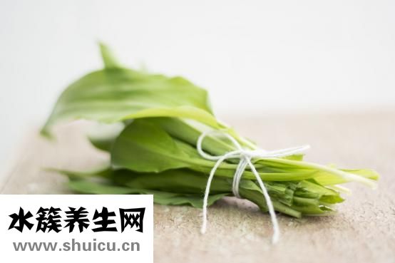 怎么曬蠔干