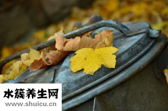 怎么種三七