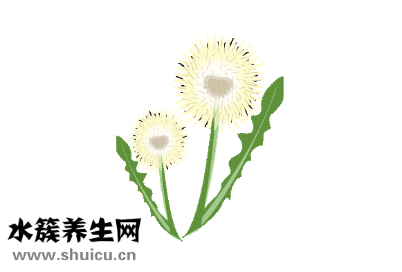 螃蟹怎么包裝