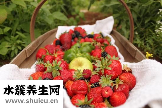 扇貝怎么挑