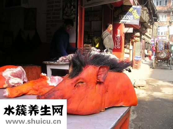 殺豬怎么放血