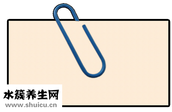 怎么學跳交誼舞