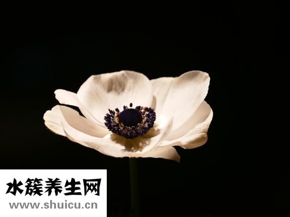輕度高血壓怎么調理