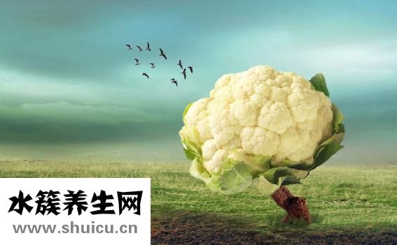 舌強語謇怎么治療