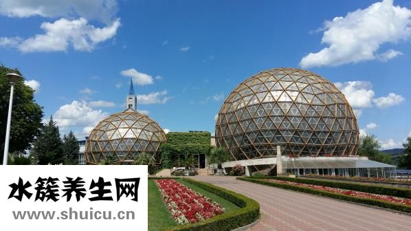 肝臟不好要怎么調養