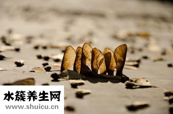 怎么才不容易早產