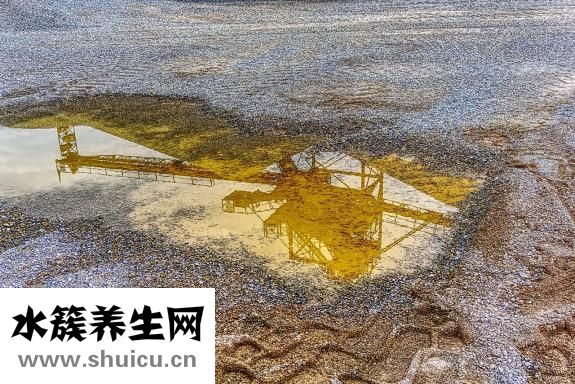 肚子上肉太多怎么辦