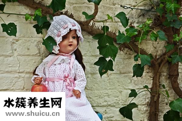 娃娃頭發怎么清洗