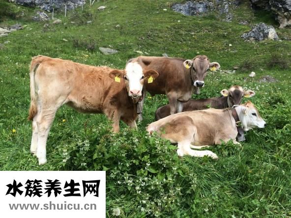 夜長怎么算