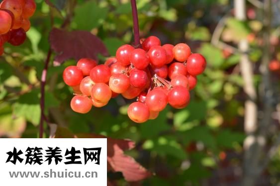 眼角膜發炎怎么治