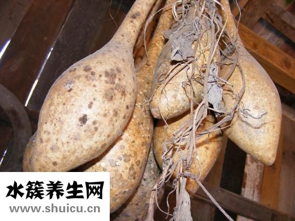 怎么掛葫蘆