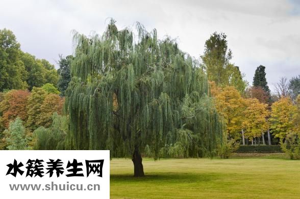 跑步長發怎么扎