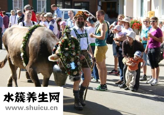 牛牛環怎么用
