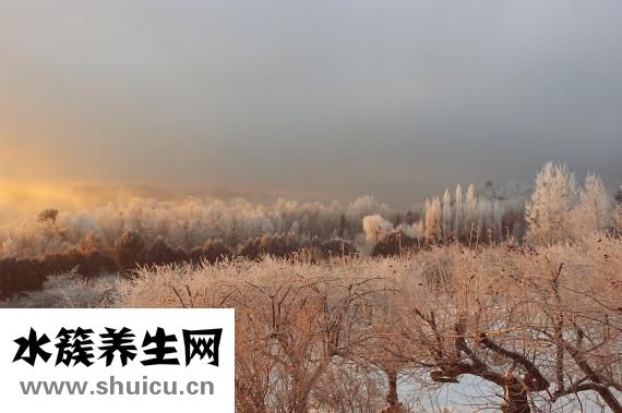 夜長怎么算