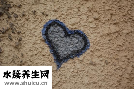 癱瘓怎么治療
