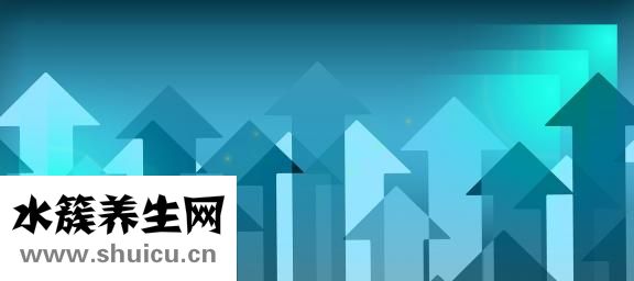 早教證怎么考