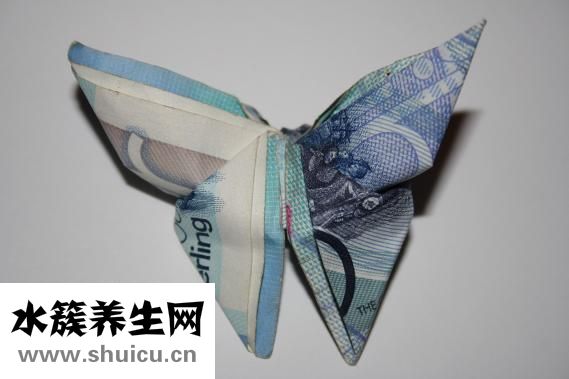 放療怎么收費