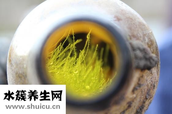 牛牛環怎么用