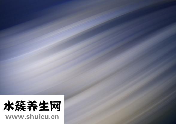 怎么做秀導