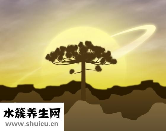 怎么擁有夢想