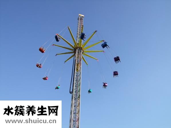 怎么做秀導