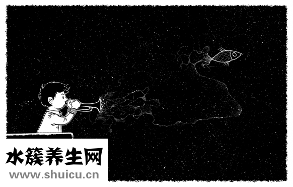 財神魚打架怎么辦