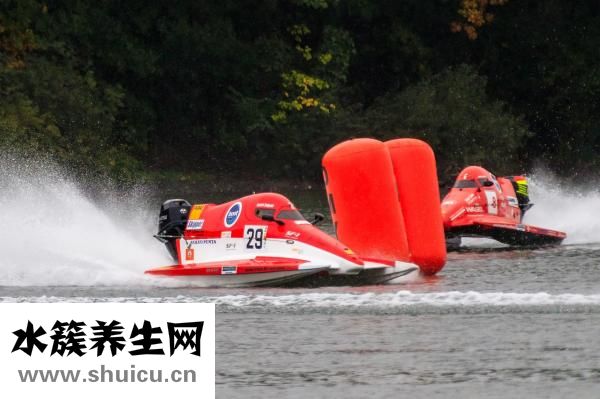 怎么做秀導