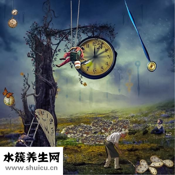 傷元氣怎么恢復