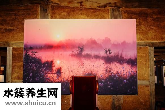 鵝肝怎么煎