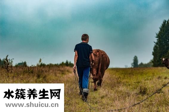 產前病假工資怎么算