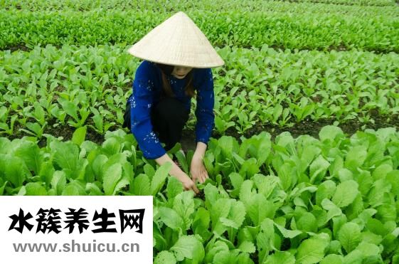 長期尿分叉怎么治