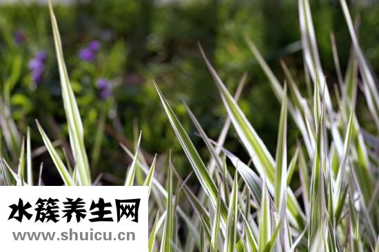 錦里溝怎么走