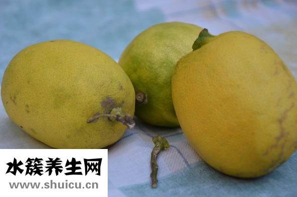 陳皮怎么弄