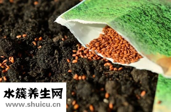 中餐應該怎么吃
