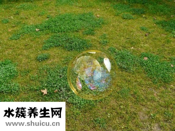人頭蜂蟄著手怎么辦