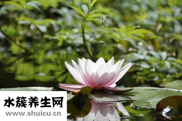 陽角條怎么用