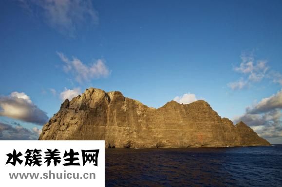 光波爐怎么蒸