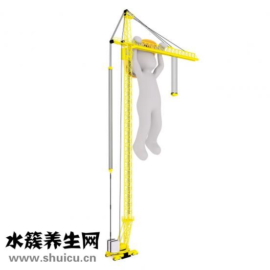光波爐怎么蒸