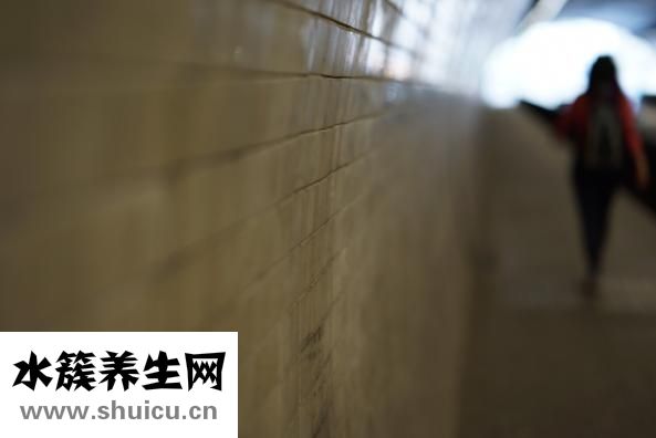 魚怎么排便
