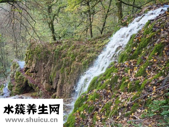 鼻結核怎么治療