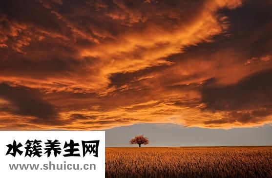降職怎么辦
